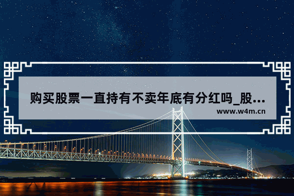 购买股票一直持有不卖年底有分红吗_股票买来放在手里不交易有费用吗