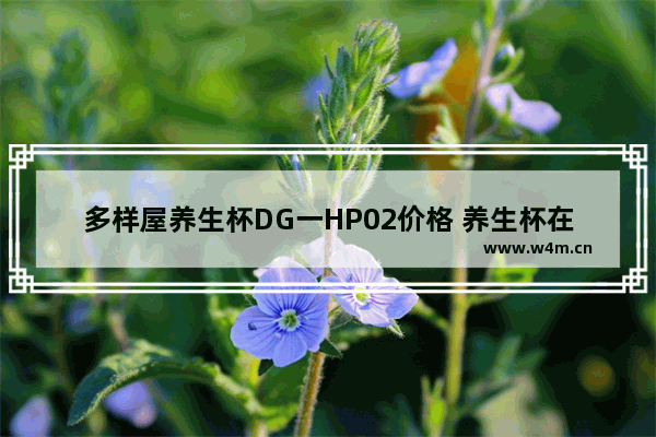 多样屋养生杯DG一HP02价格 养生杯在哪里买便宜又好