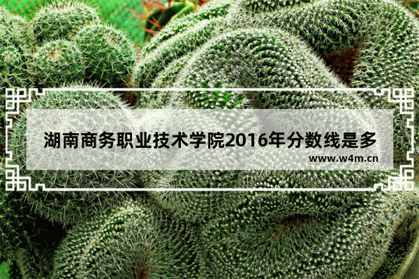 湖南商务职业技术学院2016年分数线是多少 湖南电子商务高考分数线