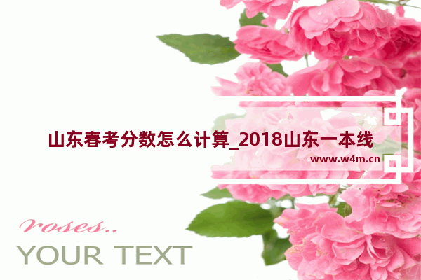 山东春考分数怎么计算_2018山东一本线是多少