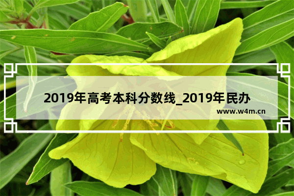 2019年高考本科分数线_2019年民办本科录取分数线是多少