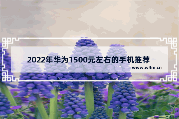 2022年华为1500元左右的手机推荐 一千块左右华为手机推荐哪款比较好