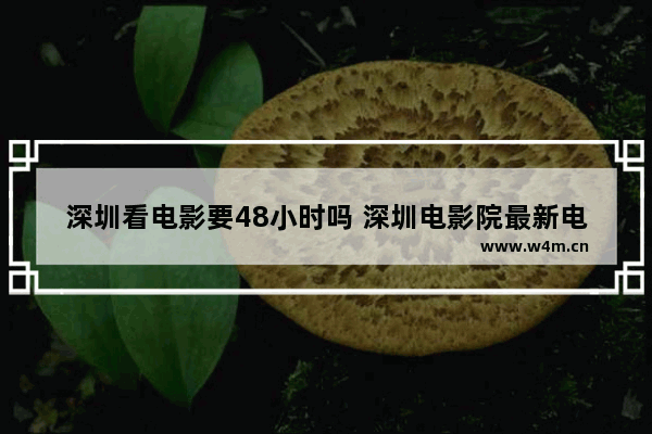 深圳看电影要48小时吗 深圳电影院最新电影有哪些名字