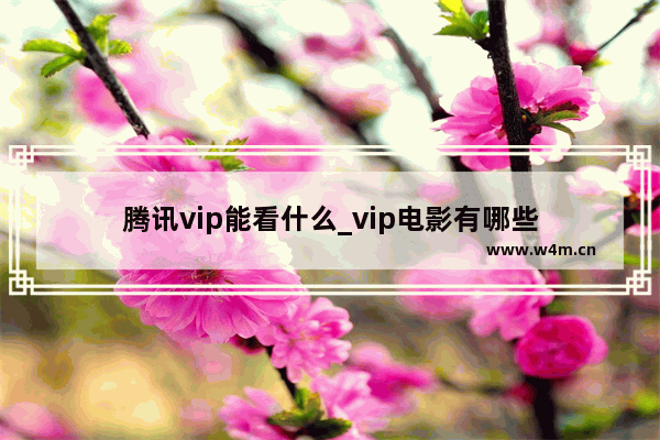 腾讯vip能看什么_vip电影有哪些