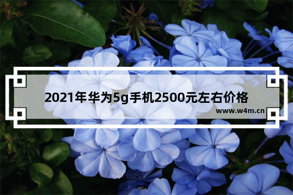 2021年华为5g手机2500元左右价格的哪款手机好 一千元以下5g手机推荐哪款好用