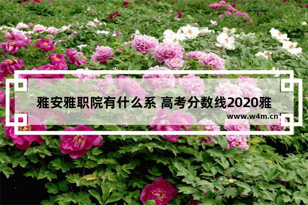 雅安雅职院有什么系 高考分数线2020雅职院