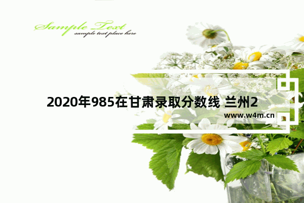 2020年985在甘肃录取分数线 兰州2020年高考分数线