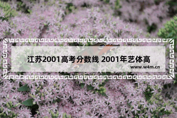 江苏2001高考分数线 2001年艺体高考分数线