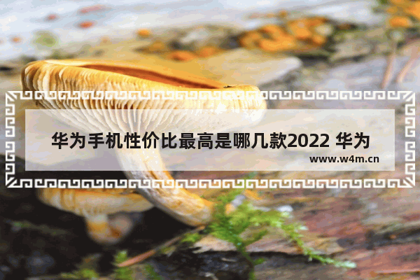 华为手机性价比最高是哪几款2022 华为三千多手机推荐性价比高