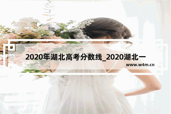 2020年湖北高考分数线_2020湖北一本线