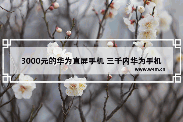 3000元的华为直屏手机 三千内华为手机推荐