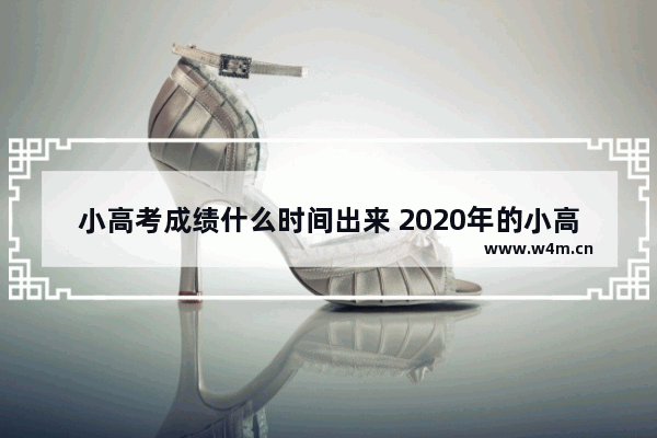 小高考成绩什么时间出来 2020年的小高考分数线