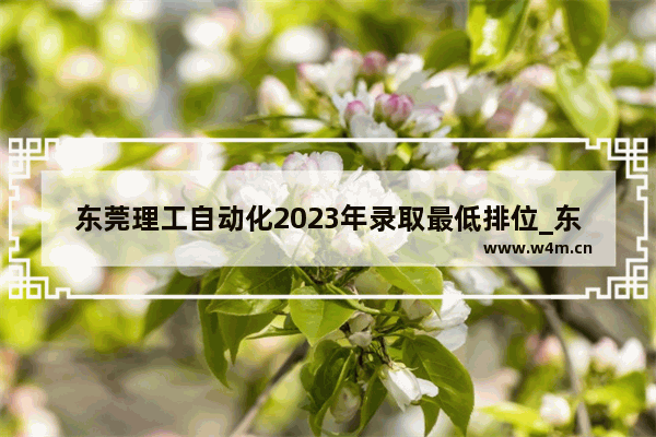 东莞理工自动化2023年录取最低排位_东莞理工学院工程师学院录取分数线