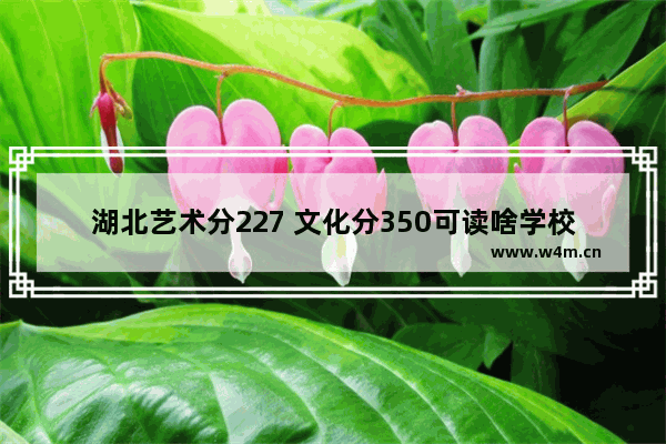 湖北艺术分227 文化分350可读啥学校 湖北艺术生的高考分数线