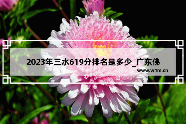 2023年三水619分排名是多少_广东佛山初中各科成绩满分是多少分