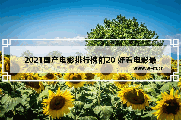 2021国产电影排行榜前20 好看电影最新电影推荐国产