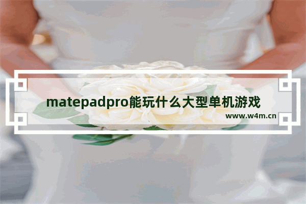 matepadpro能玩什么大型单机游戏_ipad有什么大型的单机游戏