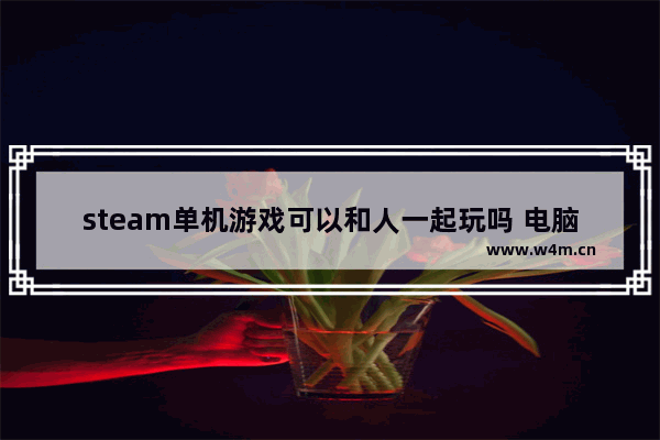 steam单机游戏可以和人一起玩吗 电脑游戏推荐女生联机