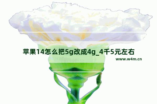 苹果14怎么把5g改成4g_4千5元左右手机推荐苹果