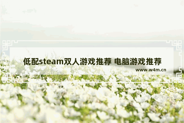 低配steam双人游戏推荐 电脑游戏推荐女生经营低配