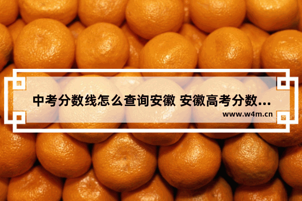 中考分数线怎么查询安徽 安徽高考分数线查询方法