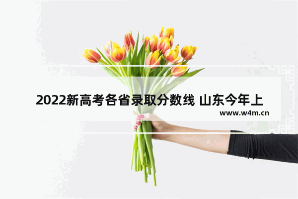 2022新高考各省录取分数线 山东今年上线的高考分数线