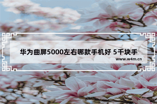 华为曲屏5000左右哪款手机好 5千块手机推荐哪款