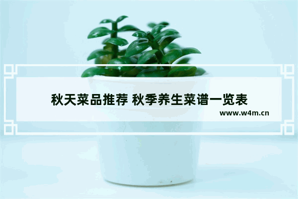 秋天菜品推荐 秋季养生菜谱一览表