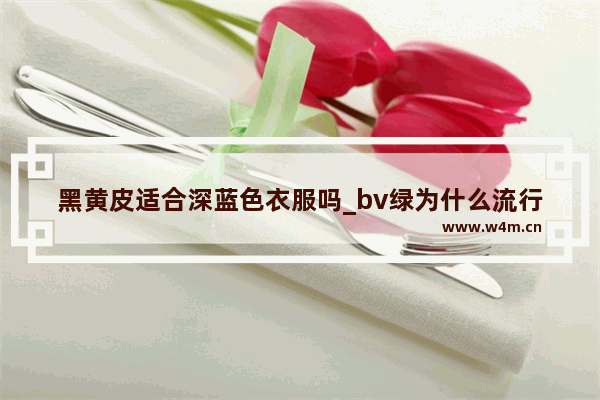 黑黄皮适合深蓝色衣服吗_bv绿为什么流行