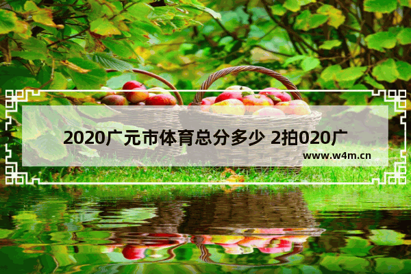 2020广元市体育总分多少 2拍020广元高考分数线