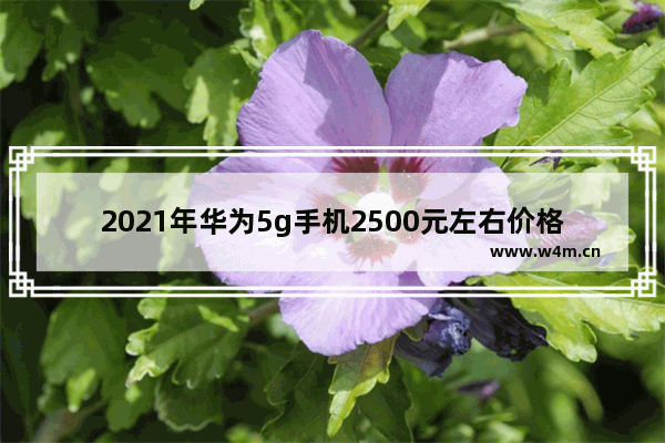 2021年华为5g手机2500元左右价格的哪款手机好 一千元以内5g手机推荐一下多少钱