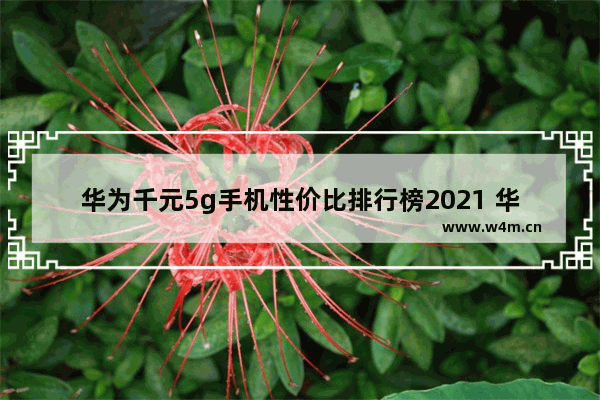 华为千元5g手机性价比排行榜2021 华为2千元手机推荐一个