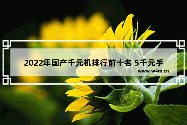 2022年国产千元机排行前十名 5千元手机推荐排行榜前十名