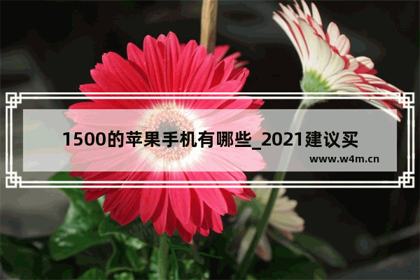 1500的苹果手机有哪些_2021建议买的苹果手机排行榜