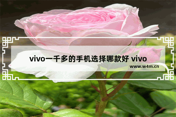 vivo一千多的手机选择哪款好 vivo一千多手机推荐哪款好用一点