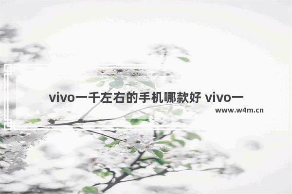 vivo一千左右的手机哪款好 vivo一千多手机推荐哪款好用点