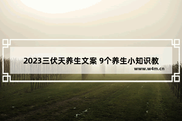 2023三伏天养生文案 9个养生小知识教你轻松度夏