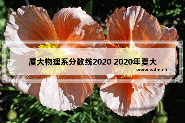 厦大物理系分数线2020 2020年夏大高考分数线