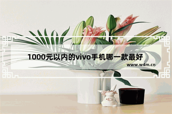 1000元以内的vivo手机哪一款最好 一千以内有哪些vivo手机推荐一下