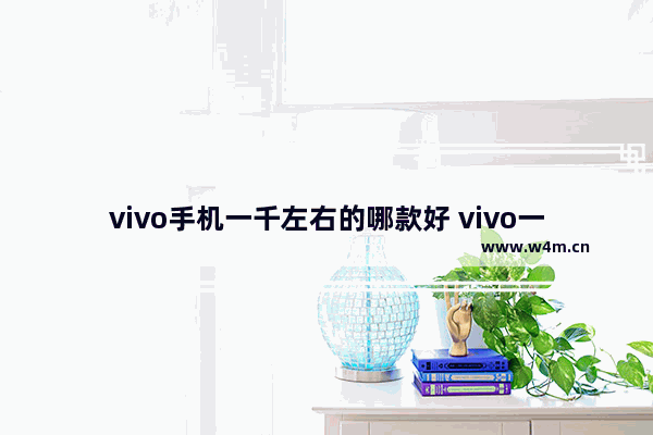 vivo手机一千左右的哪款好 vivo一千多块钱手机推荐哪款