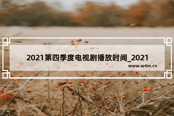 2021第四季度电视剧播放时间_2021前三季度全国电影票房