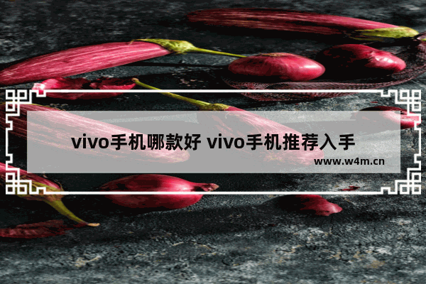 vivo手机哪款好 vivo手机推荐入手哪一款好一点