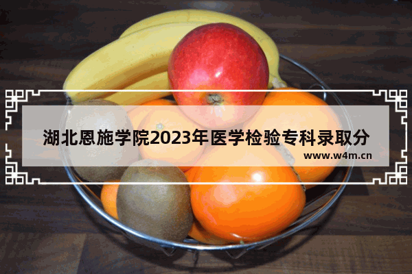 湖北恩施学院2023年医学检验专科录取分数线 湖北恩施高考分数线二本