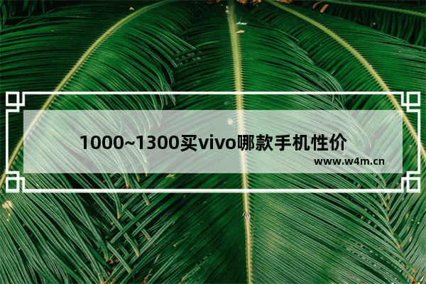 1000~1300买vivo哪款手机性价比高 一千元vivo手机推荐性价比高一点