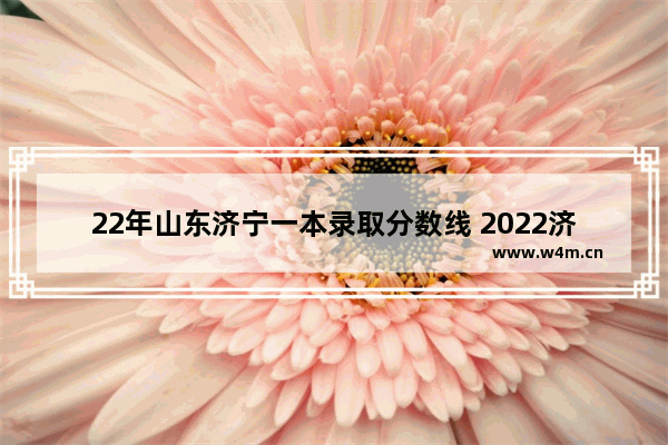 22年山东济宁一本录取分数线 2022济宁市高考分数线