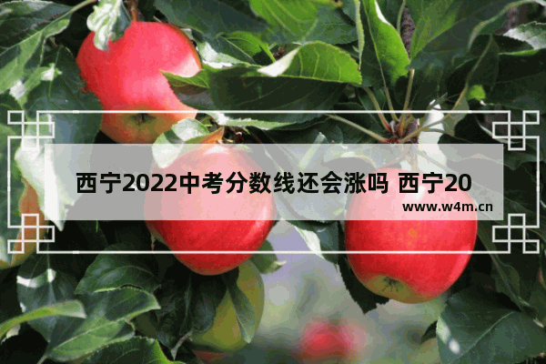 西宁2022中考分数线还会涨吗 西宁2022年高考分数线