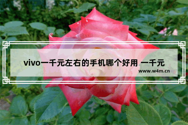 vivo一千元左右的手机哪个好用 一千元vivo手机推荐哪款好一点