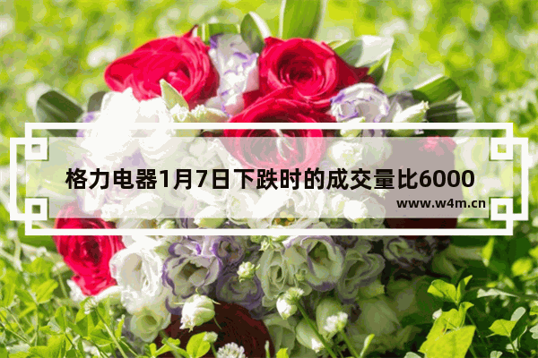 格力电器1月7日下跌时的成交量比6000点时的成交量还高 说明什么 格力电器股票近期为什么一直下跌