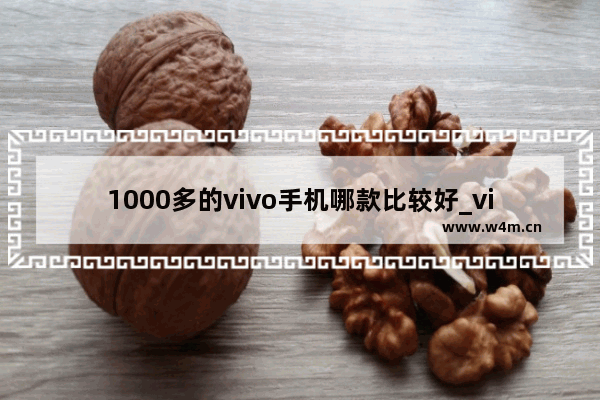 1000多的vivo手机哪款比较好_vivo手机哪款好百元机