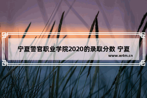 宁夏警官职业学院2020的录取分数 宁夏202年高考分数线